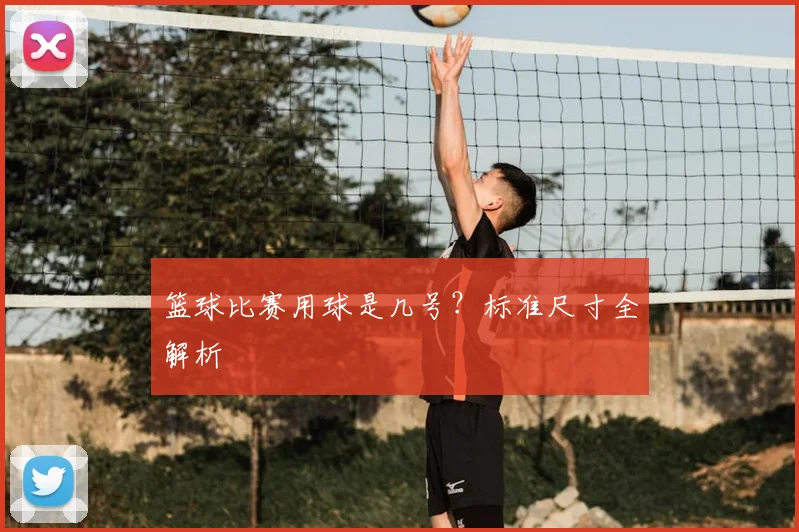 篮球比赛用球是几号?标准尺寸全解析