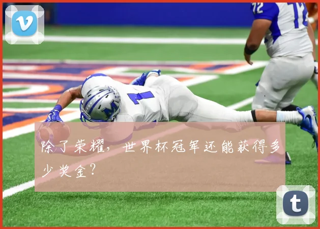 除了荣耀,世界杯冠军还能获得多少奖金?